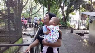 Download lagu Main ke taman wisata.. mp3