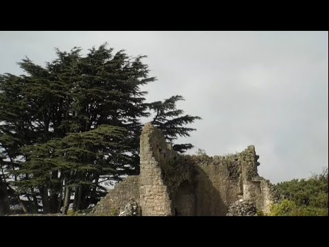 Chris White v Adam Ravenscroft | Compound Men Quarter Final