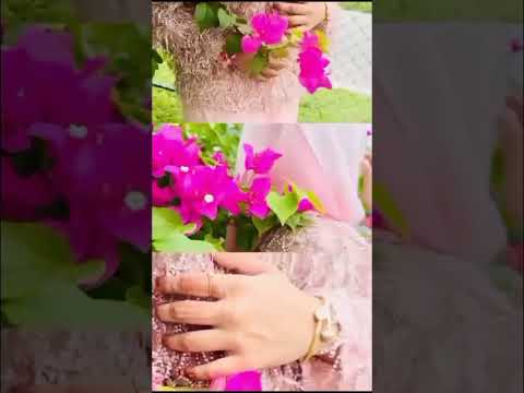 #shorts #shortvideo #🍃💗……………………………#nafi🫶🏻🫧