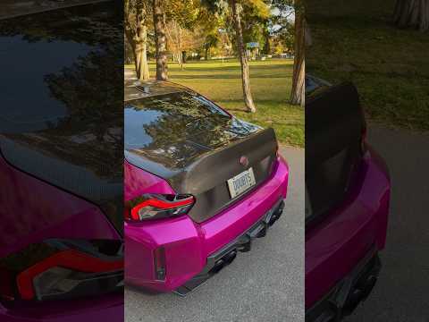 Do I put the wing ON THE CSL TRUNK? 🧐