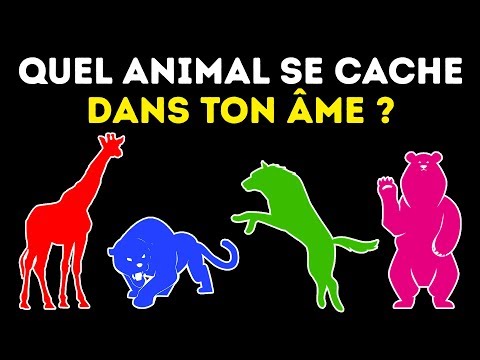 Quel Est Ton Animal Totem Un Test de Personnalité