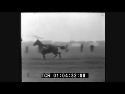 Pokazy woltyżerki ułanów - Warszawa 1937