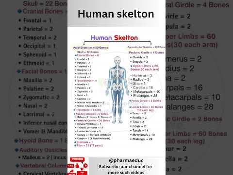 🦴 Human Skeleton Explained in 3 Minutes | Axial vs Appendicular Bones | Learn Fast & Easy!