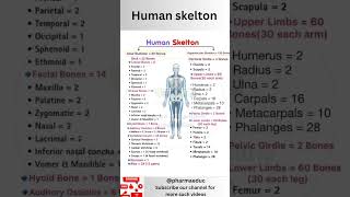 🦴 Human Skeleton Explained in 3 Minutes | Axial vs Appendicular Bones | Learn Fast &amp; Easy!