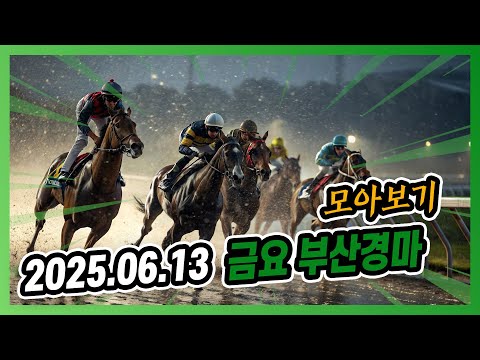 2025년 6월 13일 금요 부산경마 전체경주 모아보기