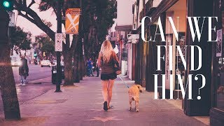 The Search for Adam The Woo | VANLIFE