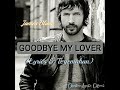 James Blunt - GOODBYE MY LOVER (Lyrics & Terjemahan)