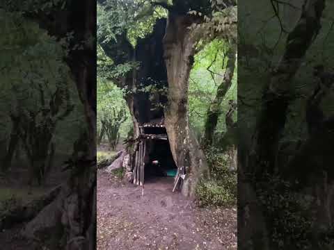 Bushcraft Camping In Heavy Rain