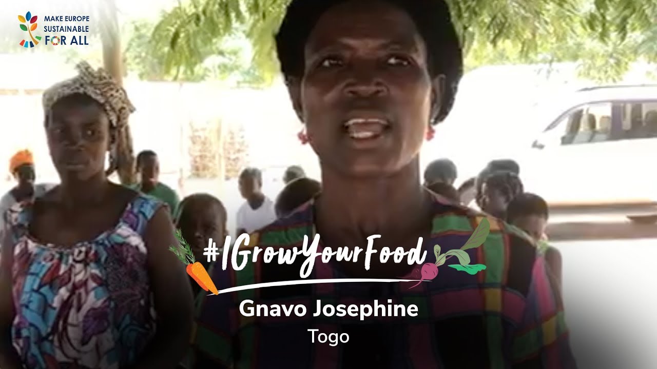 Meet Gnavo Josephine, a pineapple farmer from Togo 🇹🇬