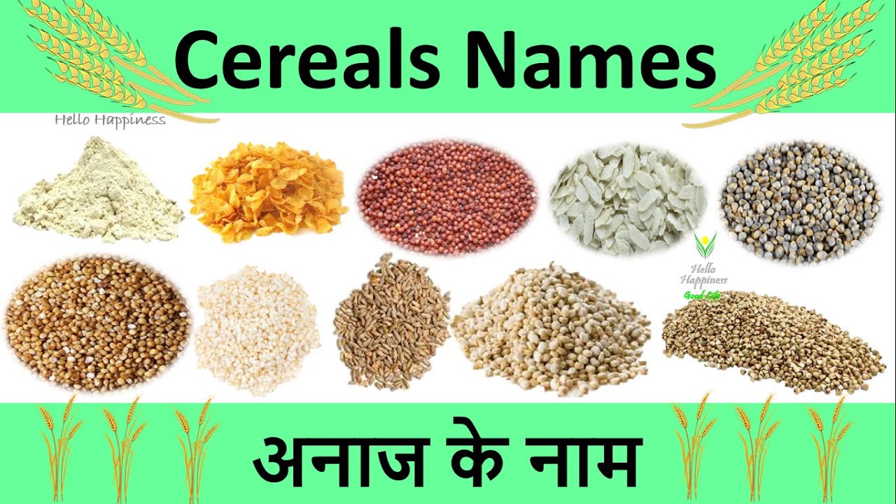 Cereals And Grains list | अनाज के नाम हिंदी और इंग्लि
श में | Types of grains and cereals names