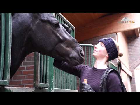 Despacito - Trainingsimpressionen 2019