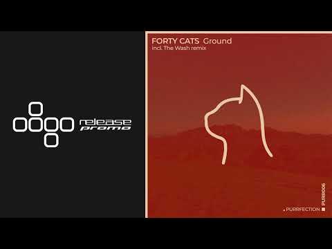 PREMIERE: Forty Cats - Ground [PURRFECTION]