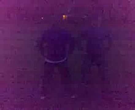 bargeres Pooyan And Niek