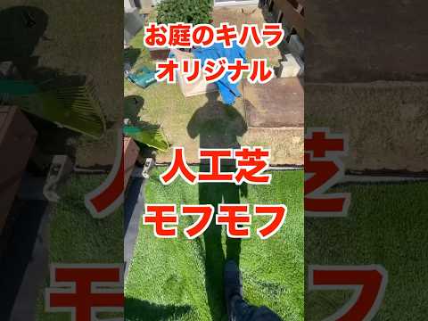 gazon-artificiel-imitation-pelouse-naturelle