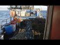 Cornwall This Fishing Life Season 2 Episode 3 DEFAULT Thumbnail
