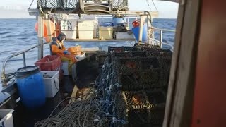 Cornwall This Fishing Life Season 2 Episode 3 MQDEFAULT Thumbnail