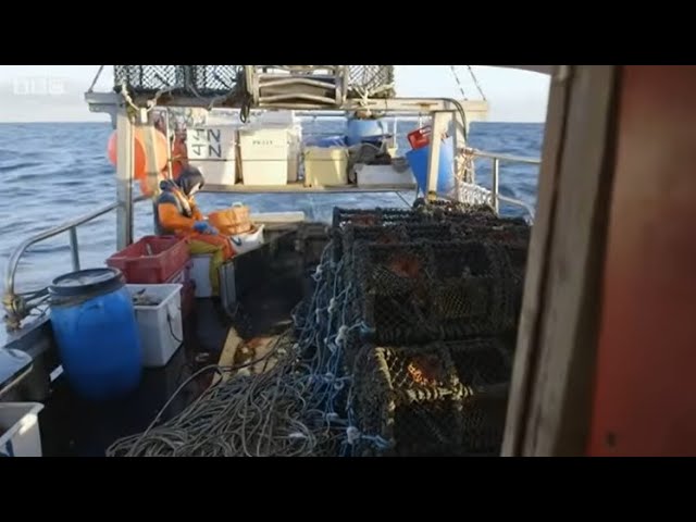 Cornwall This Fishing Life Season 2 Episode 3 SDDEFAULT Thumbnail