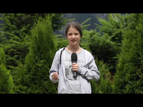 Victoria ne prezintă vremea din Tabăra TV Dictie.ro