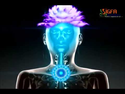 Our Guided Neurobic Spa - Psychoneurobics