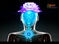 Our Guided Neurobic Spa Psychoneurobics