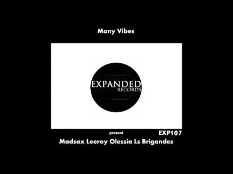 Many Vibes present Madsax Leeroy Olessia Ls Brigandes [exp107]
