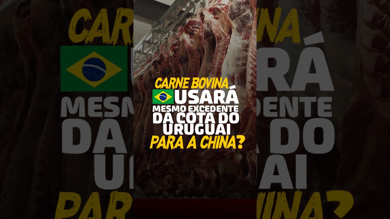 CARNE BOVINA: BRASIL USARÁ MESMO EXCEDENTE DA COTA DO URUGUAI PARA A CHINA?