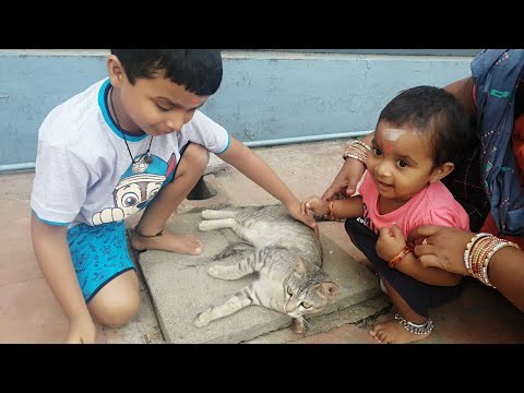 Vishal and Karunya caught Cat in Temple | Cat Love | Cat Fun | Baby Love on Cat