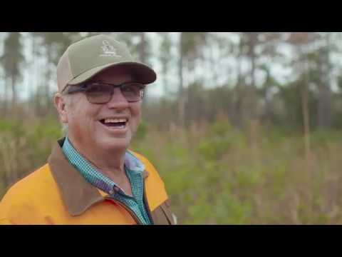 "From Grass Roots" - Mossy Pond Retrievers Brand Anthem