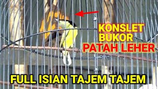 Download lagu 🔴 Aksi Sogok ontong KONSLET di arena lomba ‼ mp3