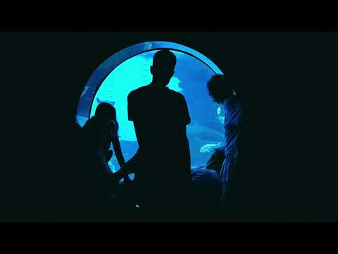 Paige, Nihil Young & Lauren L'aimant - Secrets