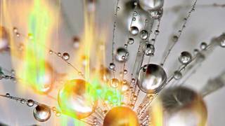 A jednak życie jest piękne...( Alphaville - Flame )