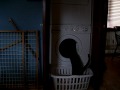 Cute Kitty Likes The Washing Machine