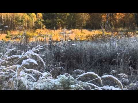 Tatiana Stepa și Noni Răzvan Ene - Mamă și tată din îngeri