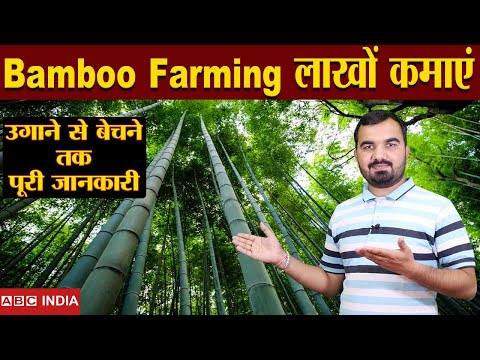 , title : 'Bamboo Farming | 1.80 लाख Per Acre | Bans ki kheti | Without खर्चा Only Income | Full Detail farming'