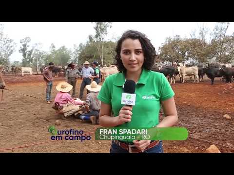 OUROFINO EM CAMPO - 03/07/2019