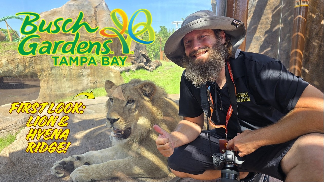 FIRST LOOK: Busch Gardens Tampa Bay’s Brand-New Lion & Hyena Ridge!