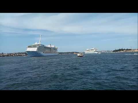 Thumbnail for OVATION OF THE SEAS and SPECTRUM OF THE SEAS in Sydney Harbour, Australia