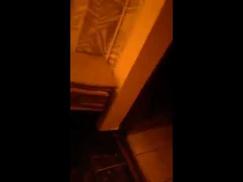 Danu de la Beliu la aparate