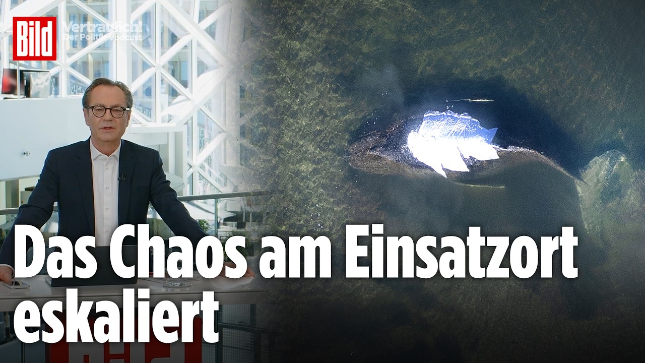 TIMMY IN NOT: Buckelwal kämpft in der Ostsee ums Überleben  – Wie geht es weiter? | Vertraulich