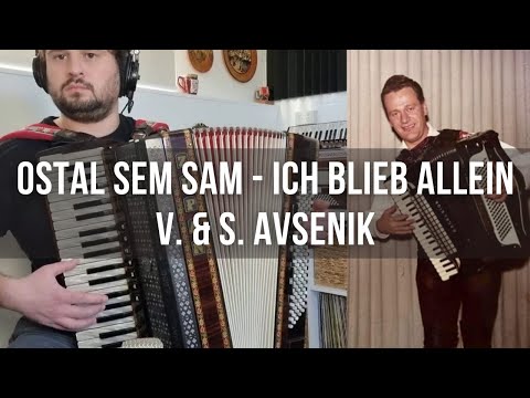 Ostal sem sam - Ich blieb allein (V. & S. Avsenik)