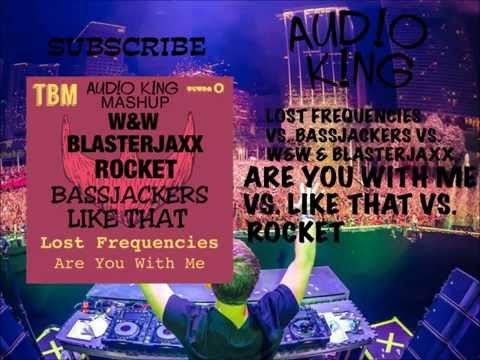 Lost Frequencies vs. Bassjackers vs. W&W & Blasterjaxx - Are You With Me (Aud!o K!ng Mashup)