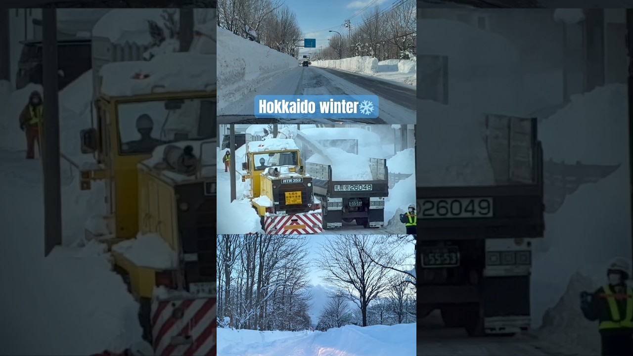 北海道の排雪　#snow