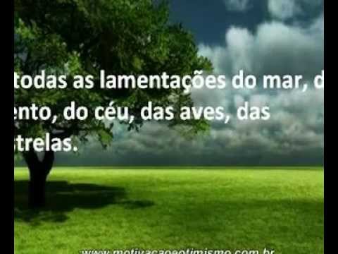 #MotivaçãoeOtimismo - Mensagem Motivacional - Vídeo Motivacional: Ausência
