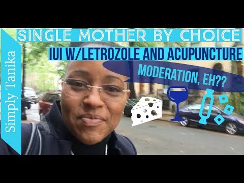 Letrozole IUI and Acupuncture | CD6 Update