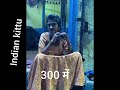 Fun All Night For 300 Full Video Red Light Area Inside The Room