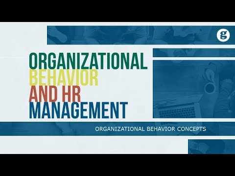 What is Organizational Behavior
