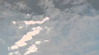 Vision 1 – Guillaume Le Dréau