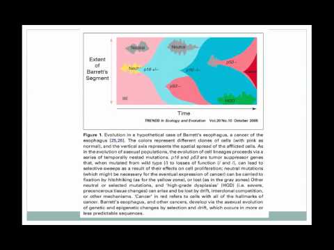 Bio380 Lecture 5 The phylogenomics of cancer