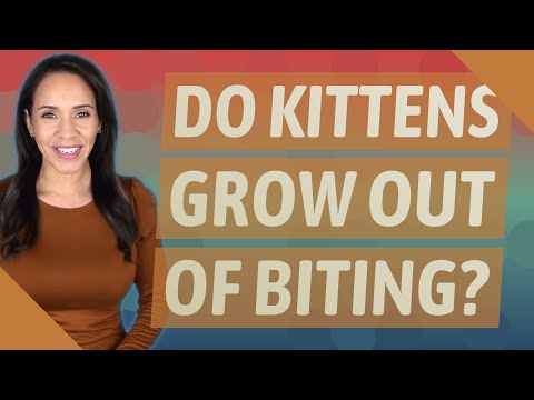 Do kittens grow out of biting?