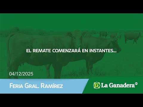Remate matutino de Hacienda Coop. LA GANADERA - Feria Gral. Ramírez - Jueves 04 de Diciembre 2025.